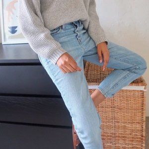 EVERLANE The 90s Cheeky Straight Leg High Rise Jean {AA13}